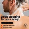 ATTITUDE Men’s Shampoo and Conditioner 2-in-1, Scalp Care for Build Up & Oily Hair, Refresh With Peppermint & Willow Extract, 97% Natural Origin Ingredients, EWG Verified, Eucalyptus & Sage, 14 Fl Oz(Eucalyptus & Sage)