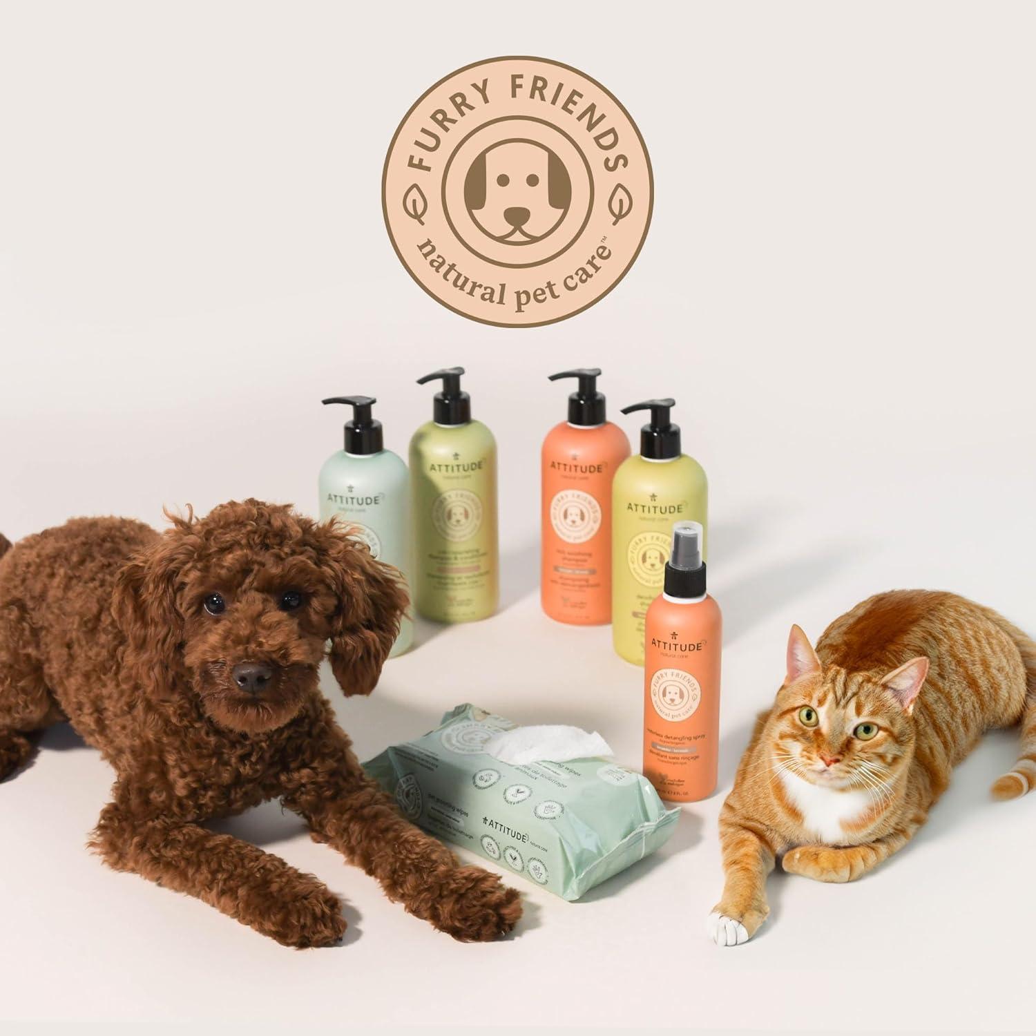 image:imageATTITUDE Itch Soothing Shampoo for Cat amp Dog Vegan and CrueltyFree Lavender 16 Fl OzLavender Argan Oil 2in1 Nourishing