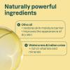 ATTITUDE Bath and Shower Body Soap Bar, EWG Verified, Plastic-free, Plant and Mineral-Based Ingredients, Vegan and Cruelty-free Personal Care Products, Sea Salt, 4 Ounces(Earl Grey & Fresh Cucumber)