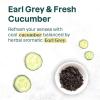 ATTITUDE Bath and Shower Body Soap Bar, EWG Verified, Plastic-free, Plant and Mineral-Based Ingredients, Vegan and Cruelty-free Personal Care Products, Sea Salt, 4 Ounces(Earl Grey & Fresh Cucumber)