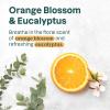 ATTITUDE Bath and Shower Body Soap Bar, EWG Verified, Plastic-free, Plant and Mineral-Based Ingredients, Vegan and Cruelty-free Personal Care Products, Sea Salt, 4 Ounces(Orange Blossom & Eucalyptus)