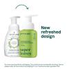 ATTITUDE Foaming Hand Soap, EWG Verified, Plant and Mineral-Based Ingredients, Vegan and Cruelty-free Personal Care Products, Orange Blossom & Eucalyptus Scent,10 Fl Oz(Pear & Amber)