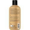 ATTITUDE Itch Soothing Shampoo for Cat & Dog, Vegan and Cruelty-Free, Lavender, 16 Fl Oz(Lavender – Deodorizing)