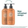ATTITUDE Itch Soothing Shampoo for Cat & Dog, Vegan and Cruelty-Free, Lavender, 16 Fl Oz(Lavender – Itch Soothing)