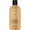 ATTITUDE Itch Soothing Shampoo for Cat & Dog, Vegan and Cruelty-Free, Lavender, 16 Fl Oz(Lavender – Deodorizing)
