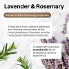 ATTITUDE All Purpose Cleaner, EWG Verified Multi-Surface Products, Vegan, Naturally Derived Multipurpose Cleaning Spray, Lavender and Rosemary, 16 Fl Oz(Lavender & Rosemary)