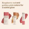 ATTITUDE Happy Berry Makeup Trio Set, EWG Verified, Titanium Dioxide-Free, Plastic-free, Plant and Mineral-Based Ingredients, Vegan and Cruelty-free Beauty Products, Set of 3 Makeup Sticks