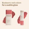 ATTITUDE Silky Pink Makeup Duo Box Set, EWG Verified, Titanium Dioxide-Free, Plastic-free, Plant and Mineral-Based, Vegan Beauty Products, Set of 2 Makeup Sticks(Happy Berry)