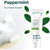 Attitude Fluoride-Free Sensitive Toothpaste, Spearmint Flavor, Vegan & Cruelty-Free, Sugar-Free, Plant & Mineral-Based Ingredients, Clean Oral Care, 4.2 Oz(Fresh Breath)