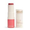 ATTITUDE Oceanly Sheer Lip Gloss Stick, EWG Verified, Titanium Dioxide-Free, Vegan Makeup & Beauty, Cruelty-Free, Plastic-Free, Happy Berry, 0.12 Ounces(Happy Berry)