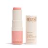 ATTITUDE Oceanly Sheer Lip Gloss Stick, EWG Verified, Titanium Dioxide-Free, Vegan Makeup & Beauty, Cruelty-Free, Plastic-Free, Happy Berry, 0.12 Ounces(Silky Pink)