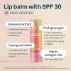 ATTITUDE Oceanly Tinted Lip Balm with SPF 30, EWG Verified, Plastic-Free, Broad Spectrum UVA/UVB Protection with Zinc Oxide, Vegan, Unscented, Terracotta, 0.3 Ounce(Terracotta)
