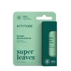 ATTITUDE Lip Balm, Natural Origin, Nourishes & Protects, Shea Butter, Coconut & Olive Oils, EWG Verified, For Dry Lips, Men and Women, Vegan, Fresh Mint, 0.3 Oz(Mint)