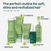 ATTITUDE Nourishing Hair Oil, EWG Verified, Natural Origin, Frizz Control Vegan Oil Complex, Softens & Nourishes Dry Hair, Dermatologically Tested, For All Hair Types, 100 mL