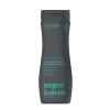 ATTITUDE 2-in-1 Body Wash & Shampoo for Men & Women, EWG Verified, Vegan, Natural Ingredients, Dermatologist-Tested, Ginseng and Grapeseed Oil, 16 Fl Oz(Black Willow & Aspen)
