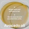 ATTITUDE Nourishing Conditioner Bar, Natural Origin, Repair and Protect, Avocado oil & Shea Butter, Vegan, Sandalwood, 4 Oz(Sandalwood)