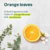 ATTITUDE Liquid Hand Soap, EWG Verified, Plant and Mineral-Based, Vegan Personal Care Products, Earl Grey & Fresh Cucumber Scent, 16 Fl Oz (Pack of 6)(Orange Leaves)
