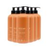 ATTITUDE Liquid Hand Soap, EWG Verified, Plant and Mineral-Based, Vegan Personal Care Products, Earl Grey & Fresh Cucumber Scent, 16 Fl Oz (Pack of 6)(Orange Cinnamon)