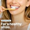 ATTITUDE Enamel Repair Toothpaste with Fluoride, Spearmint Flavor, Vegan & Cruelty-Free, Sugar-Free, Plant & Mineral-Based Ingredients, Clean Oral Care, 4.2 Oz(4.2 Ounce (Pack of 1))