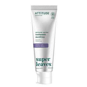 ATTITUDE Enamel Repair Toothpaste with Fluoride, Spearmint Flavor, Vegan & Cruelty-Free, Sugar-Free, Plant & Mineral-Based Ingredients, Clean Oral Care, 4.2 Oz(4.2 Ounce (Pack of 1))