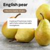 ATTITUDE Dish Soap, EWG Verified, Plant-Based & Vegan Dishwashing Liquid, Naturally Derived, English Pear, 24 Fl Oz (Pack of 9)