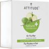 ATTITUDE Odor Eliminator with Activated Carbon, Plant-Based Air Purifier, Vegan, Green Apple and Basil, 8 Ounces(Green Apple & Basil)