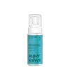 ATTITUDE Micellar Foaming Facial Cleanser, EWG Verified, Dermatologically Tested, Plant and Mineral-Based, Vegan, Unscented, 5 Fl Oz(Unscented)