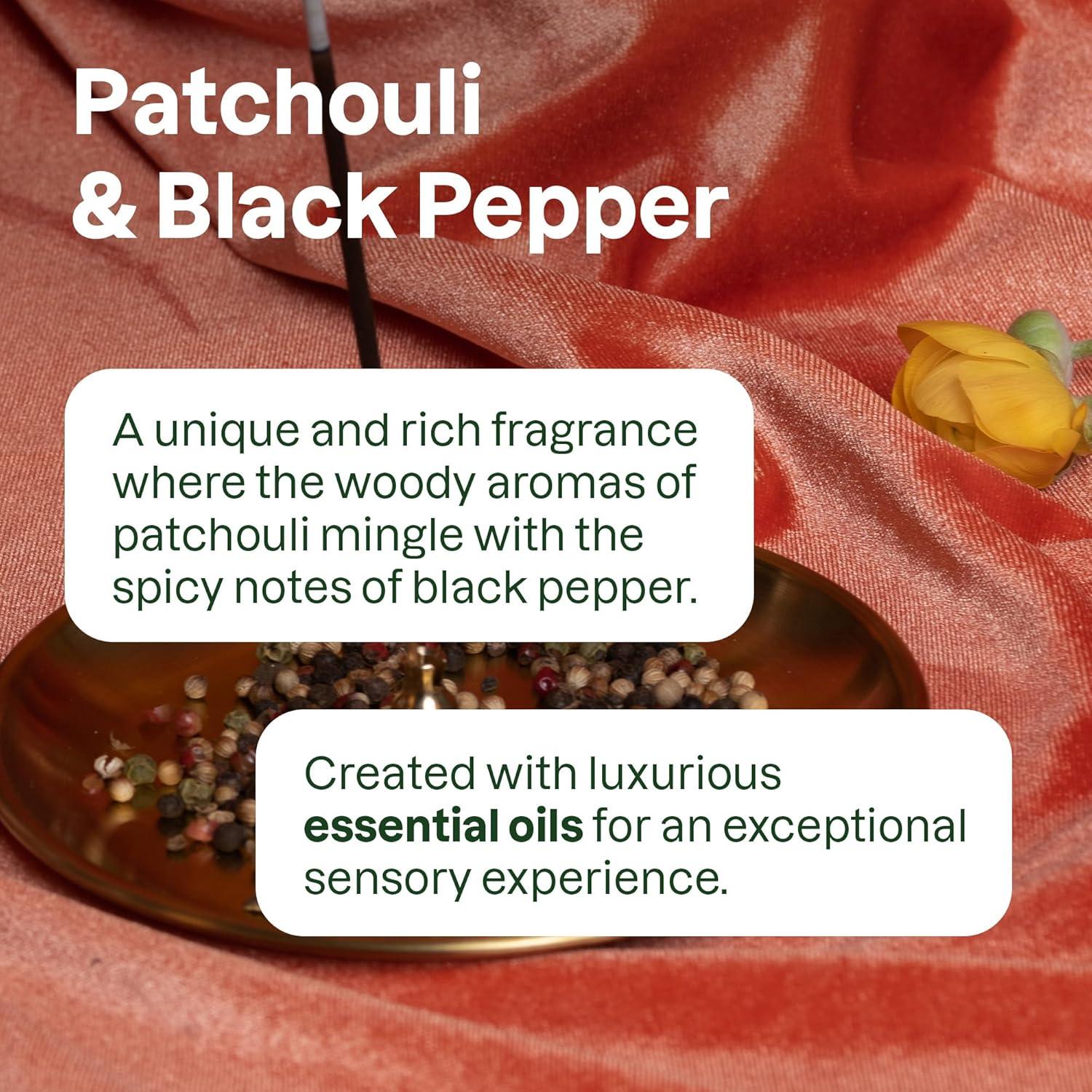 image:imageBundle of ATTITUDE 2in1 Shampoo and Body Wash with Essential Oils EWG Verified Vegan Plant and MineralBased Ingredients Patchouli and Black Pepper 16 Fl Oz Bulk Refill 6762 Fl Oz