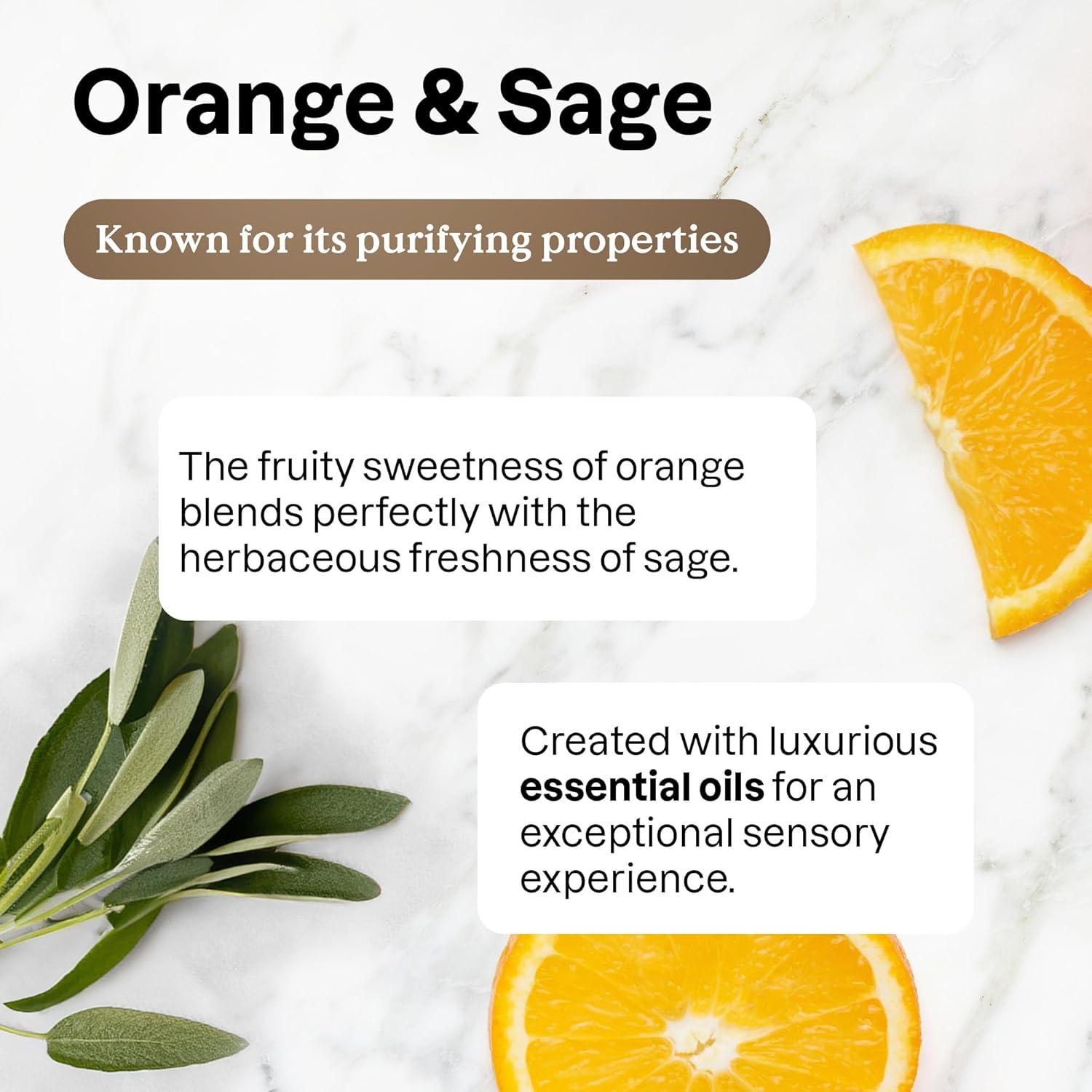 image:imageBundle of ATTITUDE Dish Soap EWG Certified Plant and MineralBased Ingredients Vegan Orange and Sage Refillable Aluminum Bottle 16 Fl Oz Bulk Refill 676 Fl Oz