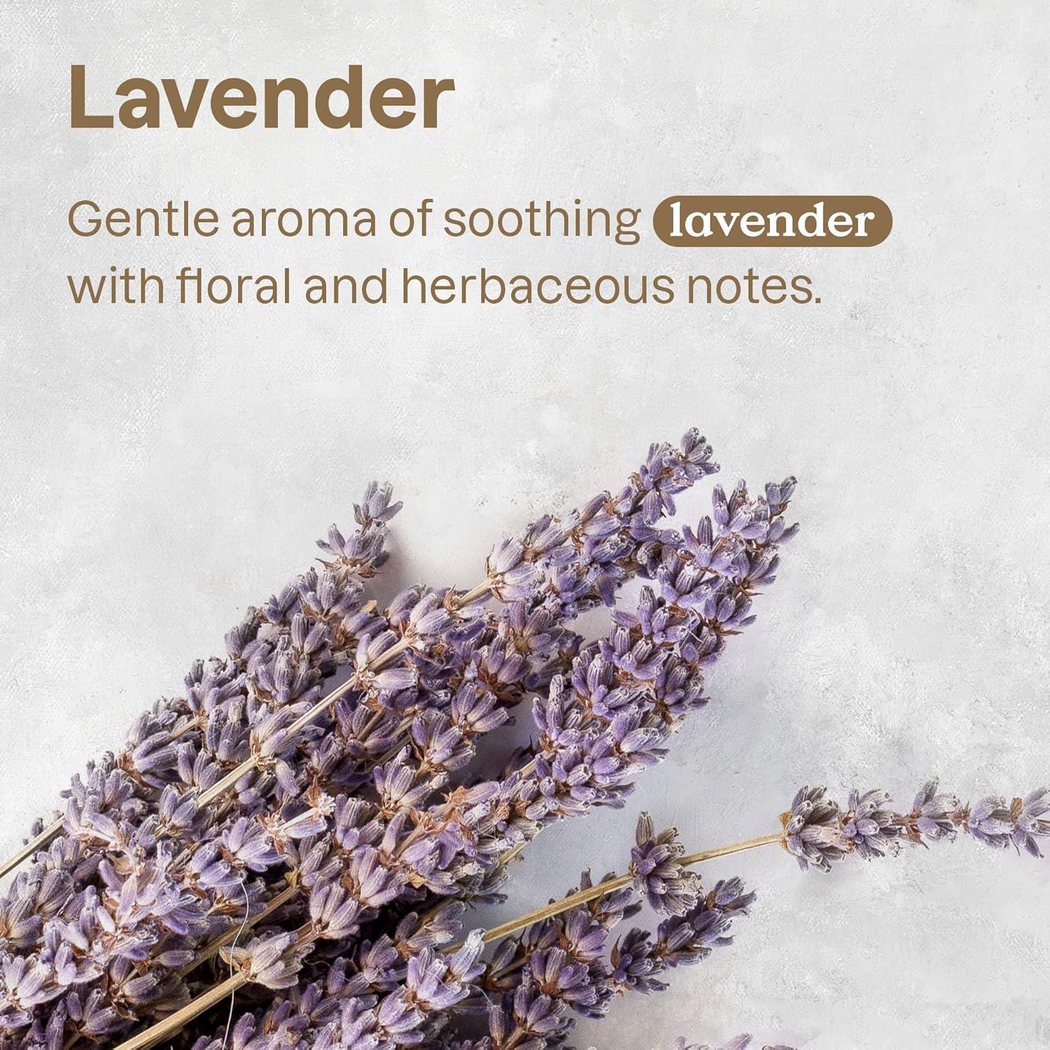 image:imageBundle of ATTITUDE Fabric Refresher for Pets Neutralizes Odors Plant and MineralBased Ingredients Vegan and Crueltyfree Lavender 16 Fl Oz Bulk Refill 6762 Fl Oz