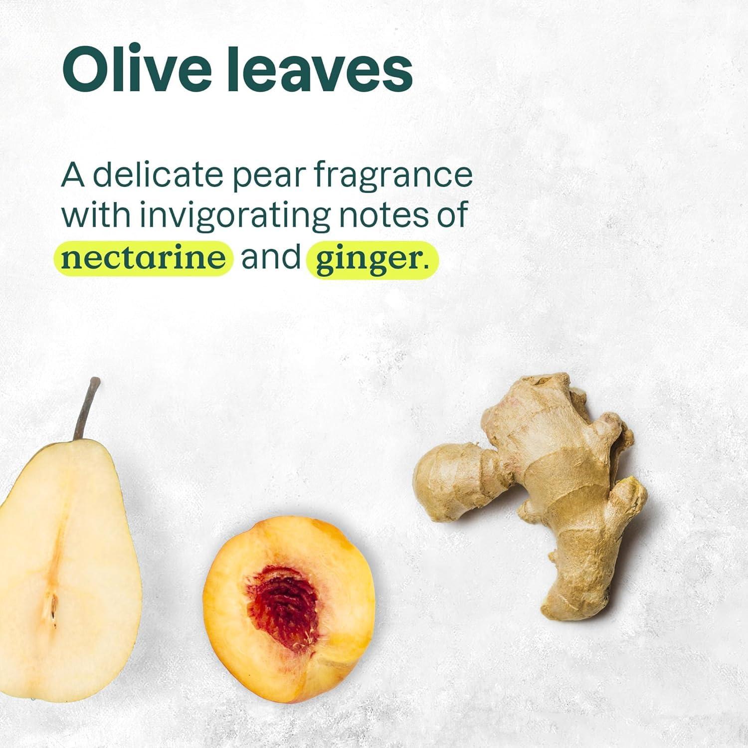 image:imageBundle of ATTITUDE Nourishing Hair ShampooEWG Verified Dermatologically Tested Plant and MineralBased Vegan Beauty Products Grapeseed Oil and Olive Leaves 16 Fl Oz Bulk Refill 6762 Fl OzGrapeseed Oil and Olive Leaves
