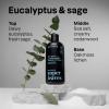 ATTITUDE Body Care Bundle for Men, Shampoo & Conditioner, Shower Gel, Aluminum Free Deodorant, EWG Verified Personal Care, Natural Origin Ingredients, Eucalyptus & Sage