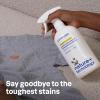 ATTITUDE Stain Remover Spray for Laundry, Removes Odors & Stains, Plant-Based & Vegan, Citrus Zest Scent, 27.1 Fl Oz(27.1 Fl Oz (Pack of 1))