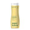Bundle of ATTITUDE Clarifying Hair Shampoo and Conditioner, EWG Verified, Dermatologically Tested, Plant- and Mineral-Based, Vegan Beauty Products, Lemon Leaves and White Tea, 16 Fl Oz