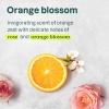 Bundle of ATTITUDE Hair Shampoo and Conditioner, EWG Verified, Plant- and Mineral-Based Ingredients, Vegan and Cruelty-free Beauty and Personal Care Products, Coily and Curly, Orange Blossom, 16 Fl Oz
