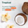 Bundle of ATTITUDE Mineral Sunscreen Stick with Zinc Oxide, SPF 30, EWG Verified, Plastic-Free, Broad Spectrum UVA/UVB Protection, Vegan, Tropical + After Sun Care Stick, Mint and Cucumber