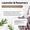 Bundle of ATTITUDE Multi-Purpose Cleaner, EWG Verified, Plant Based Ingredients, Vegan and Cruelty-free, Refillable Aluminum Bottle, Lavender and Rosemary, 16 Fl Oz + Bulk Refill, 67.6 Fl Oz