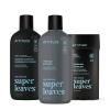ATTITUDE Body Care Bundle for Men, Shampoo & Conditioner, Shower Gel, Aluminum Free Deodorant, EWG Verified Personal Care, Natural Origin Ingredients, Eucalyptus & Sage