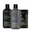 ATTITUDE Body Care Bundle for Men, Shampoo & Conditioner, Shower Gel, Aluminum Free Deodorant, EWG Verified Personal Care, Natural Origin Ingredients, Matcha & Bergamot Scent