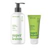 Bundle of ATTITUDE Hand Cream, EWG Verified, Plant and Mineral-Based, Vegan Personal Care Products 2.5 Fl Oz + Liquid Hand Soap, Pear & Amber Scent, 16 Fl Oz