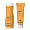 Bundle of ATTITUDE Volume And Shine Hair Shampoo and Conditioner, Dermatologically Tested, Plant- and Mineral-Based, Vegan Beauty Products, Soy Protein And Cranberries