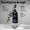 ATTITUDE Men’s Shampoo and Conditioner 2-in-1, Volumizing for Thin Hair, With Rosemary and Rice Protein, 97% Natural Origin Ingredients, EWG Verified, Amber & Citrus, 32 Fl Oz(Eucalyptus & Sage)