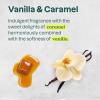 ATTITUDE Liquid Hand Soap + Bulk Refill Bundle, Vanilla Caramel, EWG Verified, Plant Based, Vegan, 16 Fl Oz + 67.6 Fl Oz
